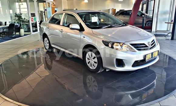 Buy Used Toyota Corolla Silver Car in Lusaka in Zambia