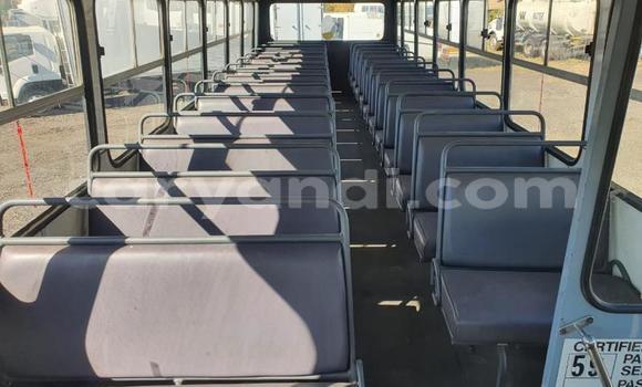 Acheter Occasion Utilitaire Isuzu FTR 850 Blanc à Livingstone, Zambie Acheter Occasion Utilitaire Isuzu FTR 850 Blanc à Livingstone, Zambie