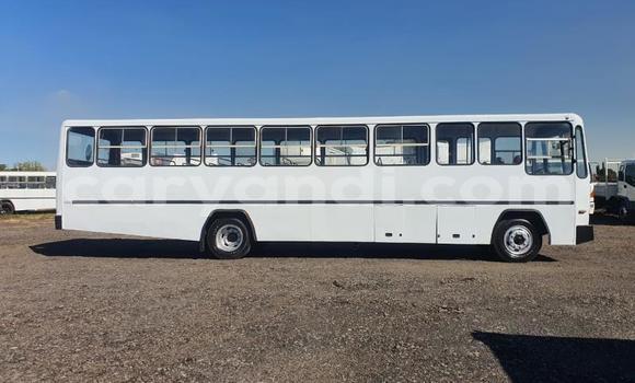 Acheter Occasion Utilitaire Isuzu FTR 850 Blanc à Livingstone, Zambie Acheter Occasion Utilitaire Isuzu FTR 850 Blanc à Livingstone, Zambie