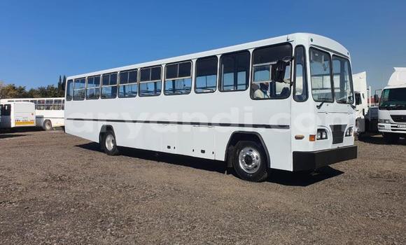 Acheter Occasion Utilitaire Isuzu FTR 850 Blanc à Livingstone, Zambie Acheter Occasion Utilitaire Isuzu FTR 850 Blanc à Livingstone, Zambie