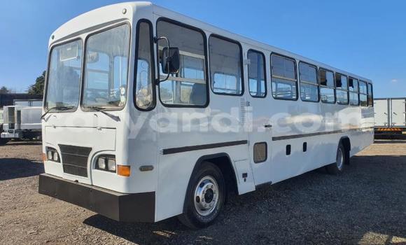 Acheter Occasion Utilitaire Isuzu FTR 850 Blanc à Livingstone, Zambie Acheter Occasion Utilitaire Isuzu FTR 850 Blanc à Livingstone, Zambie