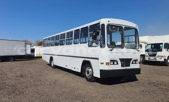Acheter Occasion Utilitaire Isuzu FTR 850 Blanc à Livingstone, Zambie Acheter Occasion Utilitaire Isuzu FTR 850 Blanc à Livingstone, Zambie