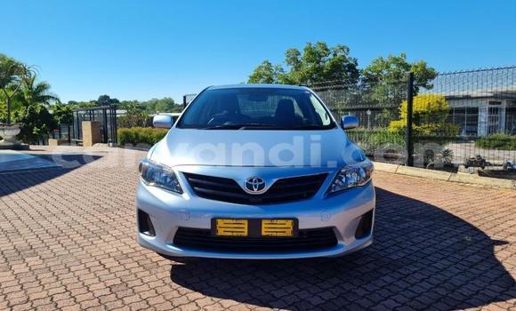 Acheter Occasion Voiture Toyota Corolla Gris à Lusaka, Zambie