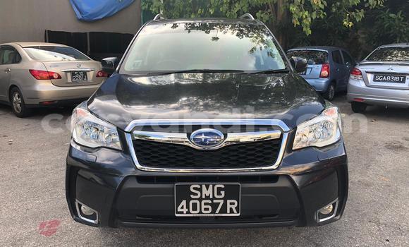 Tenga Tsaru Suzuki Grand Vitara Zvimwe Mota in Lusaka in Zambia Tenga Tsaru Suzuki Grand Vitara Zvimwe Mota in Lusaka in Zambia