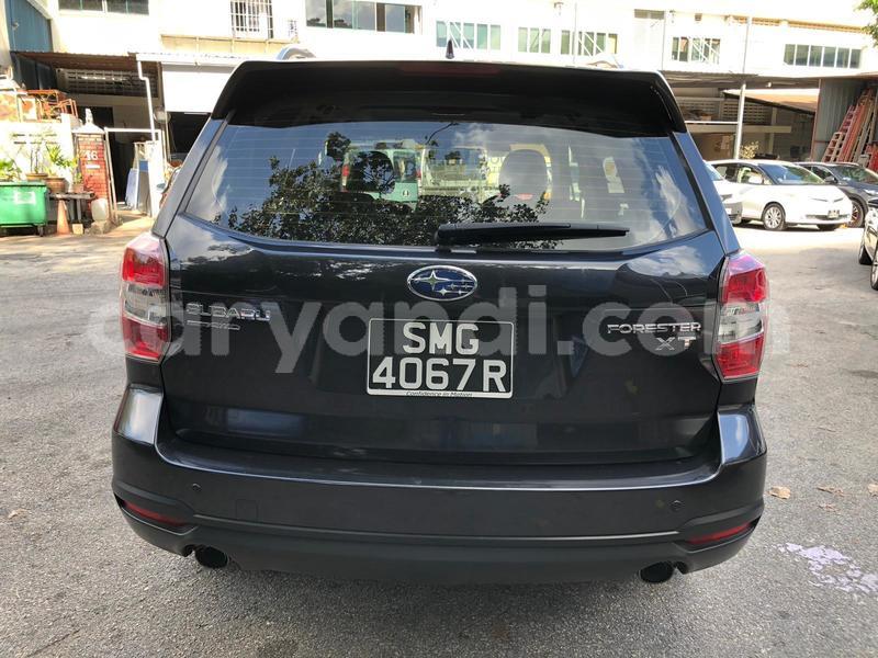 Big with watermark whatsapp image 2019 01 08 at 4.37.25 pm 1 