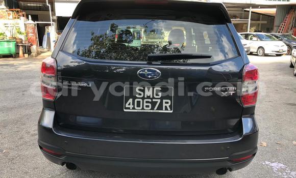 Tenga Tsaru Suzuki Grand Vitara Zvimwe Mota in Lusaka in Zambia Tenga Tsaru Suzuki Grand Vitara Zvimwe Mota in Lusaka in Zambia