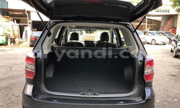 Tenga Tsaru Suzuki Grand Vitara Zvimwe Mota in Lusaka in Zambia Tenga Tsaru Suzuki Grand Vitara Zvimwe Mota in Lusaka in Zambia