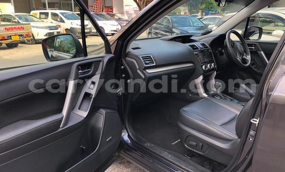 Tenga Tsaru Suzuki Grand Vitara Zvimwe Mota in Lusaka in Zambia Tenga Tsaru Suzuki Grand Vitara Zvimwe Mota in Lusaka in Zambia