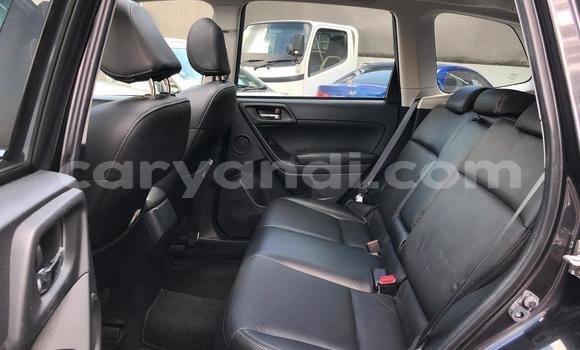 Tenga Tsaru Suzuki Grand Vitara Zvimwe Mota in Lusaka in Zambia Tenga Tsaru Suzuki Grand Vitara Zvimwe Mota in Lusaka in Zambia