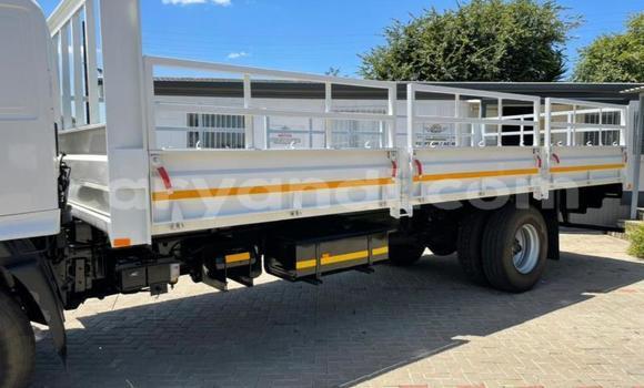 Buy Used Hino 300 Series White Truck in Chingola in Zambia Buy Used Hino 300 Series White Truck in Chingola in Zambia
