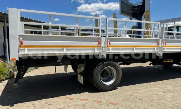 Buy Used Hino 300 Series White Truck in Chingola in Zambia Buy Used Hino 300 Series White Truck in Chingola in Zambia
