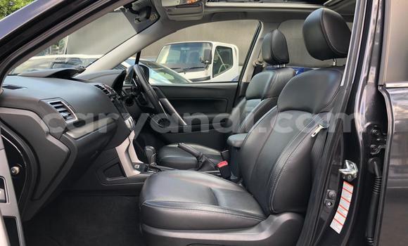 Tenga Tsaru Suzuki Grand Vitara Zvimwe Mota in Lusaka in Zambia Tenga Tsaru Suzuki Grand Vitara Zvimwe Mota in Lusaka in Zambia