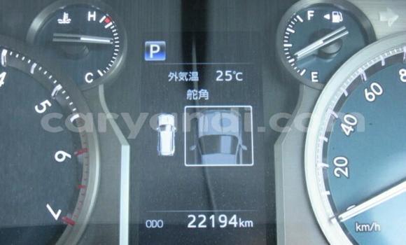 Tenga Imported Toyota Land Cruiser Prado Zvimwe Mota in Livingstone in Zambia Tenga Imported Toyota Land Cruiser Prado Zvimwe Mota in Livingstone in Zambia