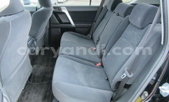 Tenga Imported Toyota Land Cruiser Prado Zvimwe Mota in Livingstone in Zambia Tenga Imported Toyota Land Cruiser Prado Zvimwe Mota in Livingstone in Zambia