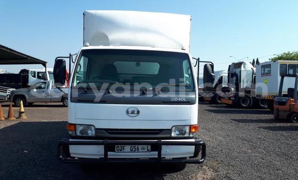 Buy Used Nissan UD White Truck in Chingola in Zambia