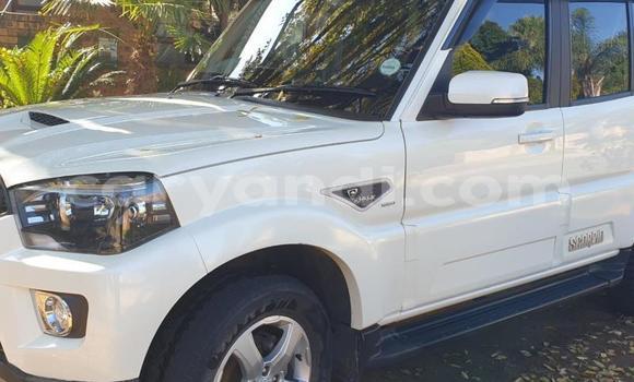 Acheter Occasion Voiture Mahindra Scorpio Blanc à Chingola, Zambie Acheter Occasion Voiture Mahindra Scorpio Blanc à Chingola, Zambie