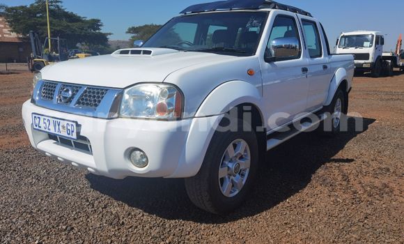 Buy Used Nissan NP 300 White Car in Chipata in Zambia