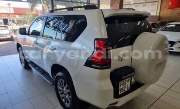 Acheter Occasion Voiture Toyota Prado Blanc à Chingola, Zambie Acheter Occasion Voiture Toyota Prado Blanc à Chingola, Zambie