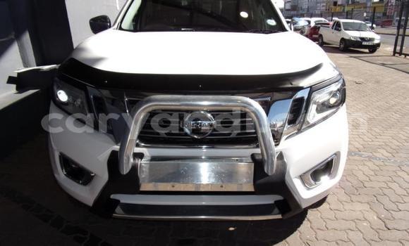 Buy Used Nissan Navara White Car in Chingola in Zambia Buy Used Nissan Navara White Car in Chingola in Zambia