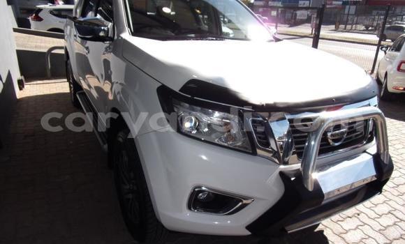 Buy Used Nissan Navara White Car in Chingola in Zambia Buy Used Nissan Navara White Car in Chingola in Zambia