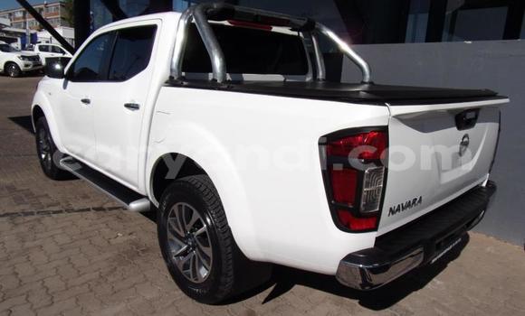 Buy Used Nissan Navara White Car in Chingola in Zambia Buy Used Nissan Navara White Car in Chingola in Zambia