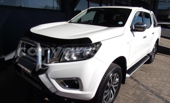 Buy Used Nissan Navara White Car in Chingola in Zambia Buy Used Nissan Navara White Car in Chingola in Zambia