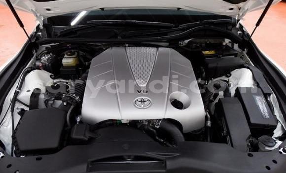 Buy Import Toyota Mark X Other Car in Livingstone in Zambia Buy Import Toyota Mark X Other Car in Livingstone in Zambia