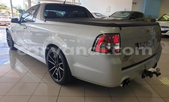 Buy Used Chevrolet Lumina White Car in Chingola in Zambia Buy Used Chevrolet Lumina White Car in Chingola in Zambia