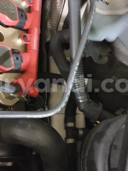 Big with watermark whatsapp image 2018 12 11 at 9.03.07 pm 4