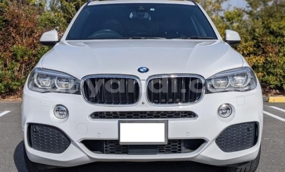 Buy Import BMW X5 Other Car in Livingstone in Zambia
