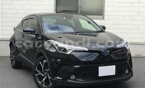 Buy Import Toyota C-HR Black Car in Livingstone in Zambia