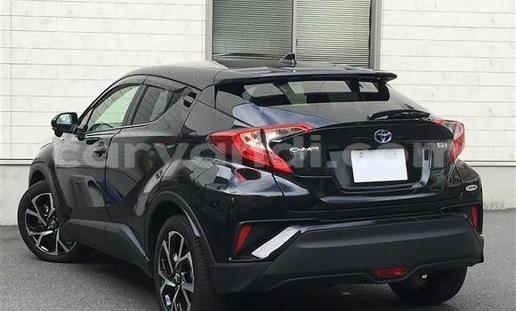 Buy Import Toyota C-HR Black Car in Livingstone in Zambia Buy Import Toyota C-HR Black Car in Livingstone in Zambia