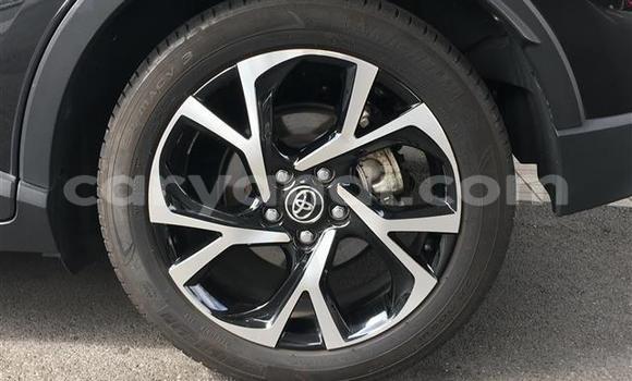 Buy Import Toyota C-HR Black Car in Livingstone in Zambia Buy Import Toyota C-HR Black Car in Livingstone in Zambia