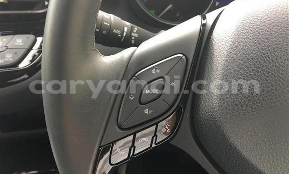 Buy Import Toyota C-HR Black Car in Livingstone in Zambia Buy Import Toyota C-HR Black Car in Livingstone in Zambia