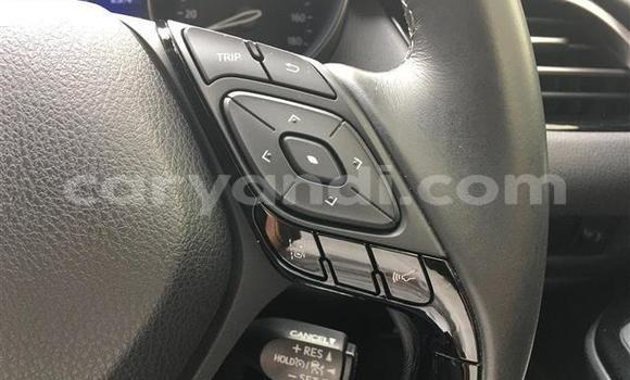 Buy Import Toyota C-HR Black Car in Livingstone in Zambia Buy Import Toyota C-HR Black Car in Livingstone in Zambia