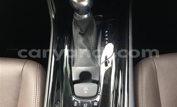 Buy Import Toyota C-HR Black Car in Livingstone in Zambia Buy Import Toyota C-HR Black Car in Livingstone in Zambia