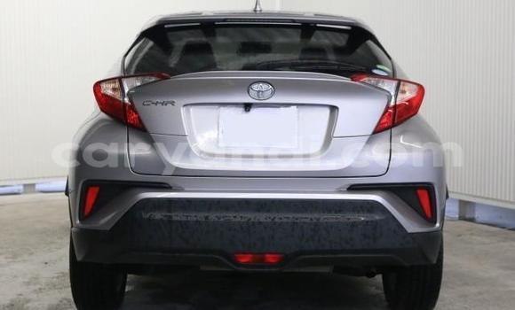 Acheter Import Voiture Toyota C-HR Autre à Livingstone, Zambie Acheter Import Voiture Toyota C-HR Autre à Livingstone, Zambie