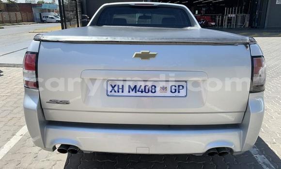 Buy Used Chevrolet Lumina Silver Car in Livingstone in Zambia Buy Used Chevrolet Lumina Silver Car in Livingstone in Zambia