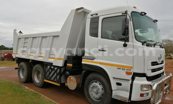 Acheter Occasion Utilitaire Nissan UD Blanc à Lusaka, Zambie Acheter Occasion Utilitaire Nissan UD Blanc à Lusaka, Zambie