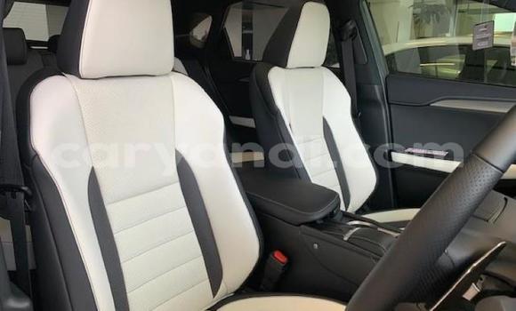 Acheter Occasion Voiture Lexus NX Autre à Lusaka, Zambie Acheter Occasion Voiture Lexus NX Autre à Lusaka, Zambie