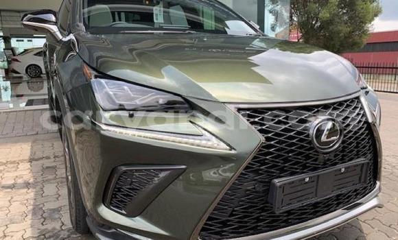 Acheter Occasion Voiture Lexus NX Autre à Lusaka, Zambie Acheter Occasion Voiture Lexus NX Autre à Lusaka, Zambie