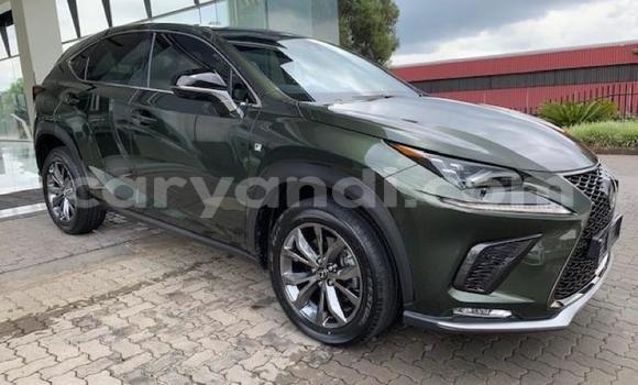Acheter Occasion Voiture Lexus NX Autre à Lusaka, Zambie Acheter Occasion Voiture Lexus NX Autre à Lusaka, Zambie