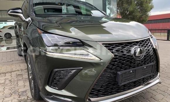 Acheter Occasion Voiture Lexus NX Autre à Lusaka, Zambie Acheter Occasion Voiture Lexus NX Autre à Lusaka, Zambie