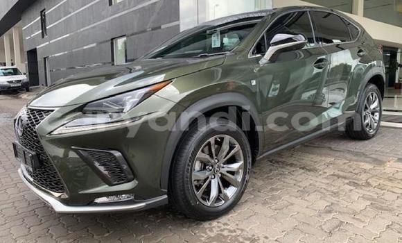 Acheter Occasion Voiture Lexus NX Autre à Lusaka, Zambie Acheter Occasion Voiture Lexus NX Autre à Lusaka, Zambie