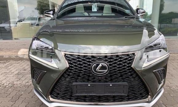 Acheter Occasion Voiture Lexus NX Autre à Lusaka, Zambie Acheter Occasion Voiture Lexus NX Autre à Lusaka, Zambie