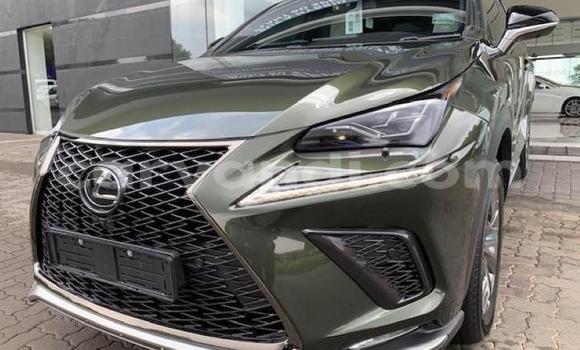 Acheter Occasion Voiture Lexus NX Autre à Lusaka, Zambie Acheter Occasion Voiture Lexus NX Autre à Lusaka, Zambie