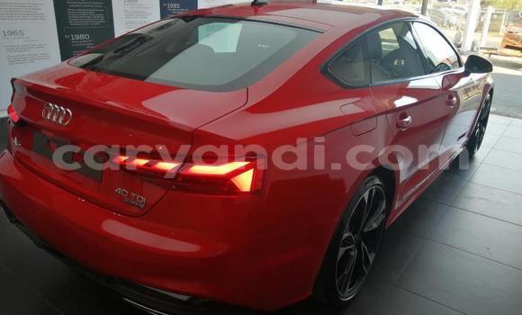 Buy Used Audi A5 Red Car in Lusaka in Zambia Buy Used Audi A5 Red Car in Lusaka in Zambia