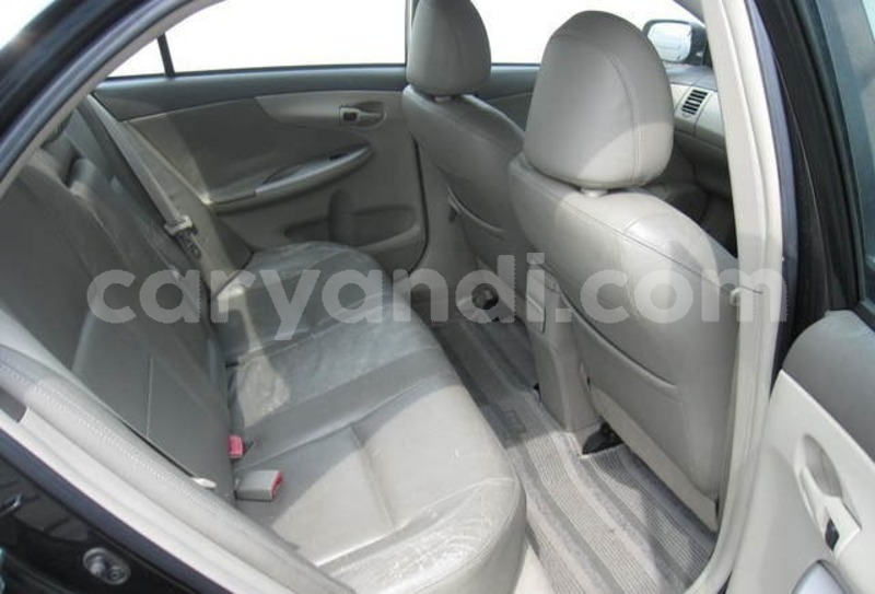 Big with watermark whatsapp image 2019 01 17 at 7.24.11 pm 9 