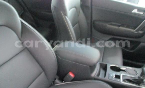 Nunua Ilio tumika Kia Sportage Nyekundu Gari ndani ya Katete nchini Mashariki Nunua Ilio tumika Kia Sportage Nyekundu Gari ndani ya Katete nchini Mashariki