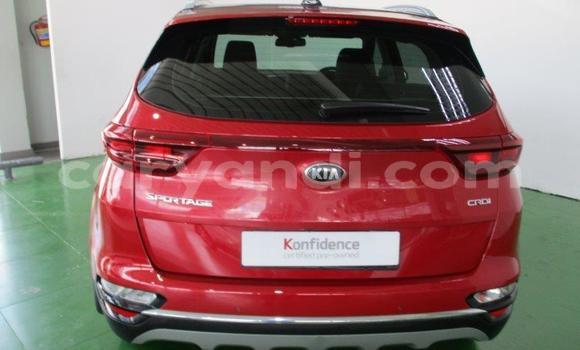 Nunua Ilio tumika Kia Sportage Nyekundu Gari ndani ya Katete nchini Mashariki Nunua Ilio tumika Kia Sportage Nyekundu Gari ndani ya Katete nchini Mashariki